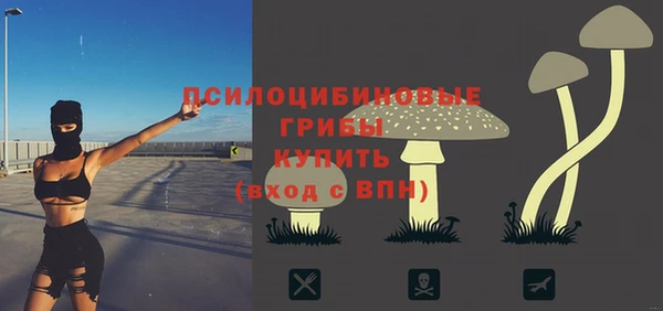 гидра Михайлов