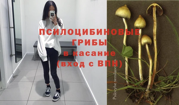 гидра Михайлов